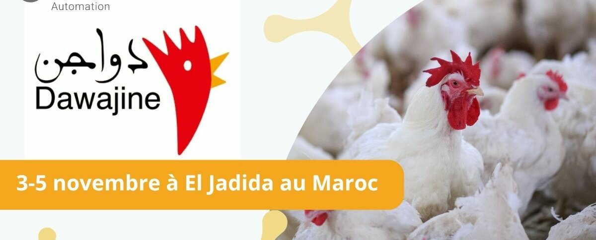 OET au salon Dawajine 2025 : automatisation pour l’aviculture